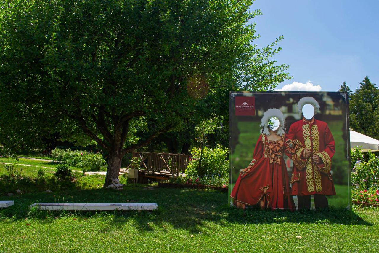 Vila Rozalia Garden Gate Avrig Exterior photo